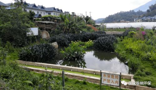 勐?？h 以農(nóng)村污水治理為筆，繪就美麗鄉(xiāng)村新畫卷